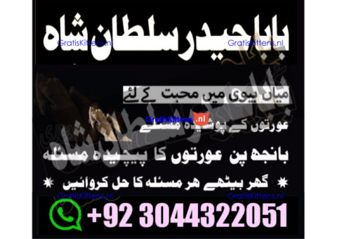 manpasand shadi for love back and family in uk karachi