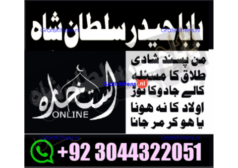 manpasand shadi for love back and family in uk karachi