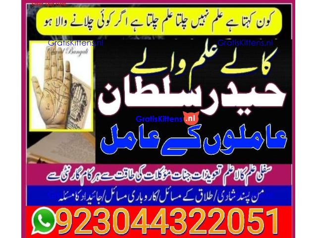 manpasand shadi for love back and family in uk karachi