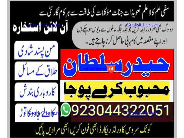 manpasand shadi for love back and family in uk karachi