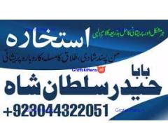 C1 Kala Jadu Expert Specialist In Dubai Kala Jadu Expert in America Kala Jadu Specialist In Spain