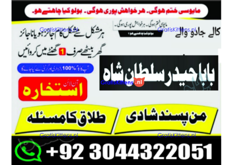 C1 Kala Jadu Expert Specialist In Dubai Kala Jadu Expert in America Kala Jadu Specialist In Spain