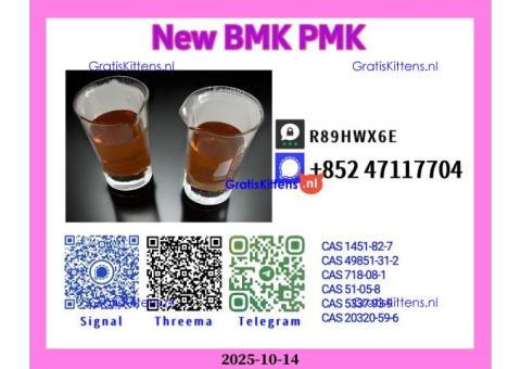 High Quality New 28578-16-7 and 49851-31-2