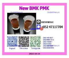 High Quality New 28578-16-7 and 49851-31-2
