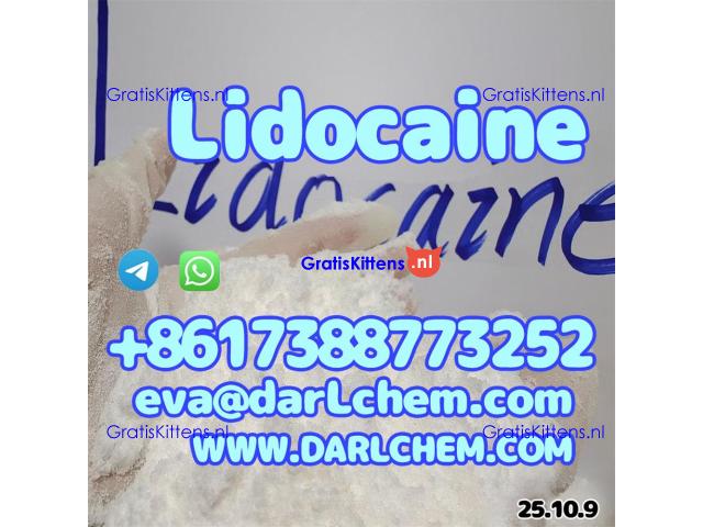 Lidocaine base hcl crystals powder 137-58-6 99.9% Wholesale Top Quality 99.9%