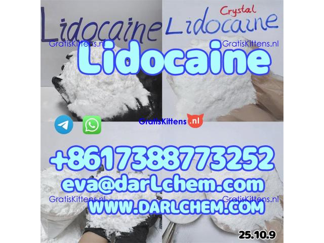 Lidocaine base hcl crystals powder 137-58-6 99.9% Wholesale Top Quality 99.9%
