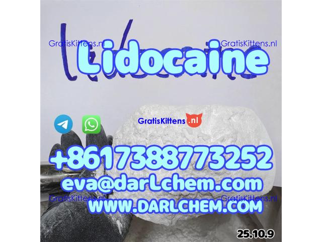 Lidocaine base hcl crystals powder 137-58-6 99.9% Wholesale Top Quality 99.9%