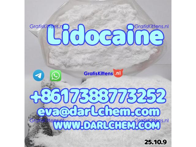 Lidocaine base hcl crystals powder 137-58-6 99.9% Wholesale Top Quality 99.9%