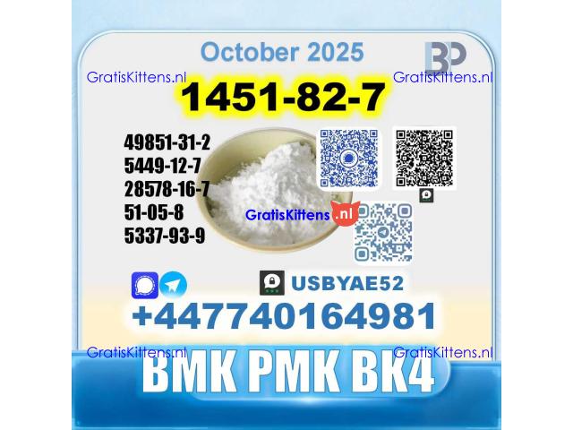1451-82-7 2-Brom-4-methylpropiophenone BK4 source factory