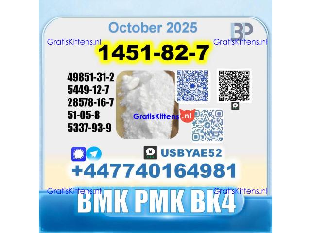 1451-82-7 2-Brom-4-methylpropiophenone BK4 source factory