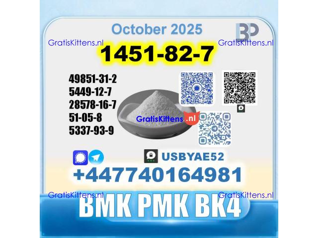 1451-82-7 2-Brom-4-methylpropiophenone BK4 source factory