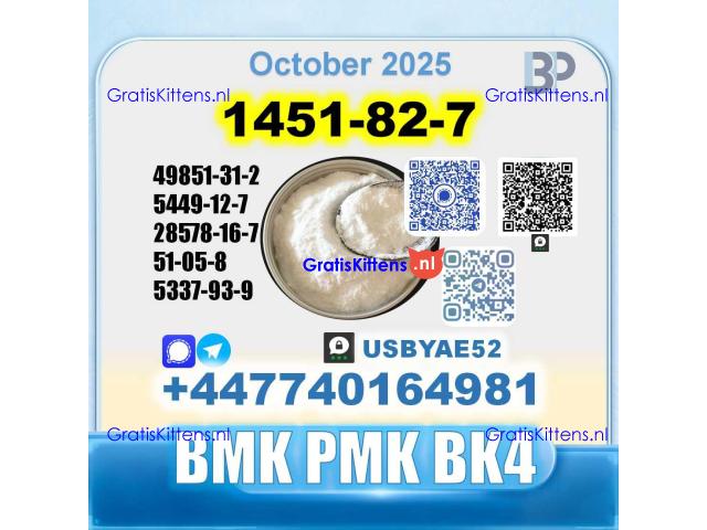 BK4 1451-82-7 2b4m BMK 49851-31-2 source factory