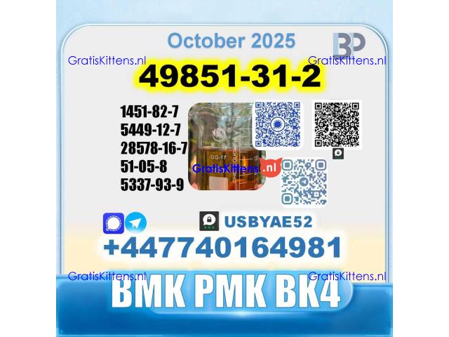 49851-31-2 2-Bromovalerophenone BMK PMK BK4 BVF bulk supply