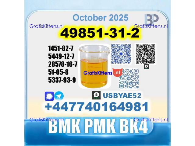 49851-31-2 2-Bromo-1-Phenyl-Pentan-1-One BK4 Source factory
