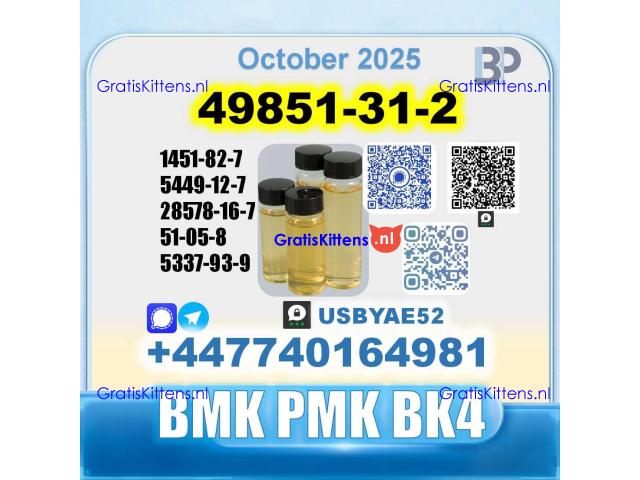 49851-31-2 2-Bromo-1-Phenyl-Pentan-1-One BK4 Source factory