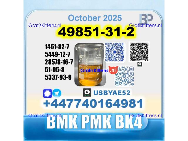 49851-31-2 2-Bromo-1-Phenyl-Pentan-1-One BK4 Source factory