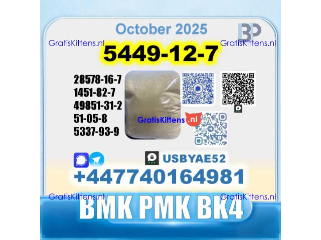 New 5449-12-7 BMK 28578-16-7 PMK factory safe delivery