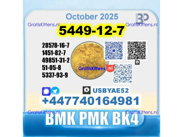 New 5449-12-7 BMK 28578-16-7 PMK factory safe delivery