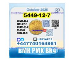 New 5449-12-7 BMK 28578-16-7 PMK factory safe delivery
