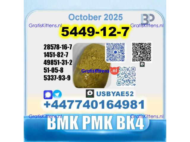 New 5449-12-7 BMK 28578-16-7 PMK factory safe delivery