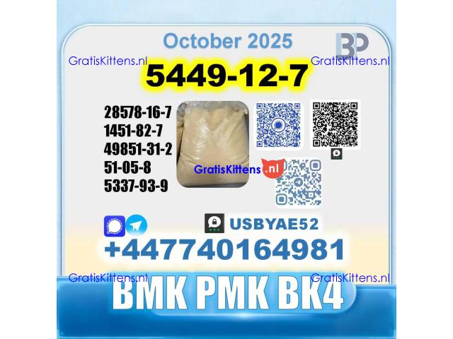 New 5449-12-7 BMK 28578-16-7 PMK factory safe delivery