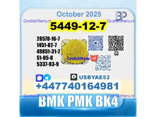 BMK glycidic acid 5449-12-7 PMK 28578-16-7 Source factory