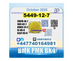 BMK glycidic acid 5449-12-7 PMK 28578-16-7 Source factory