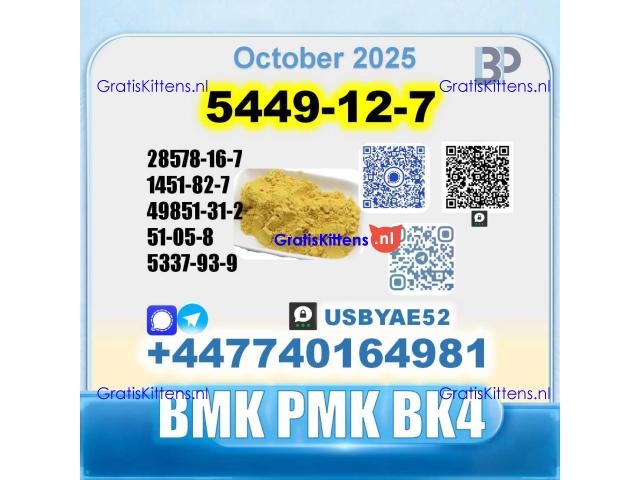 BMK glycidic acid 5449-12-7 PMK 28578-16-7 Source factory