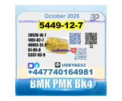 BMK glycidic acid 5449-12-7 PMK 28578-16-7 Source factory
