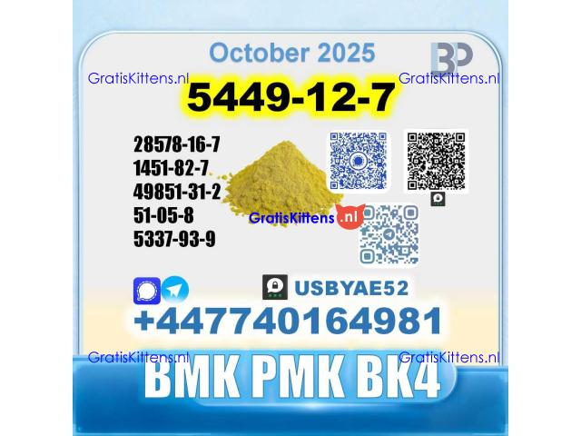 BMK glycidic acid 5449-12-7 PMK 28578-16-7 Source factory