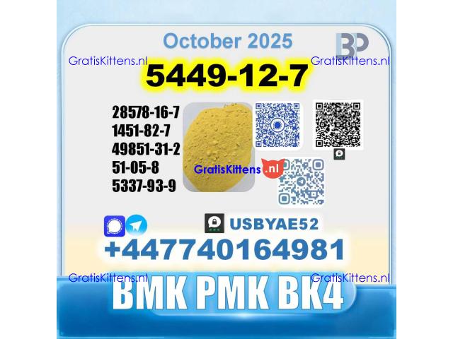 BMK glycidic acid 5449-12-7 PMK 28578-16-7 Source factory