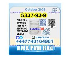 5337-93-9 4mpf 4-Methylpropiophenone PMK Factory Delivery