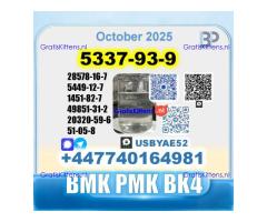5337-93-9 4mpf 4-Methylpropiophenone PMK Factory Delivery
