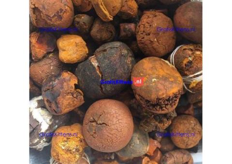 Buy cow /Ox Gallstone Available On Stock Now @ (WhatsApp: +237673528224)