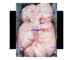 Halal sheep tail fat lamb fat tail for sale