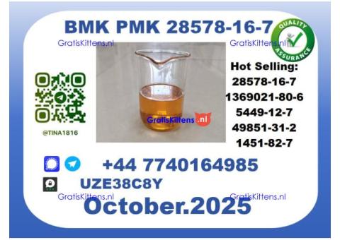New PMK,CAS 28578-16-7 Toppest Factory Supply