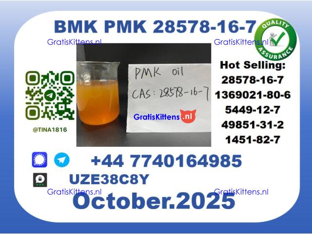 New PMK,CAS 28578-16-7 Toppest Factory Supply