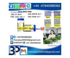 Raw Material 49851-31-2 2-bromo-1-phenyl-1-pentanone alpha-Bromovalerophenone in Stock