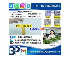 Raw Material 49851-31-2 2-bromo-1-phenyl-1-pentanone alpha-Bromovalerophenone in Stock