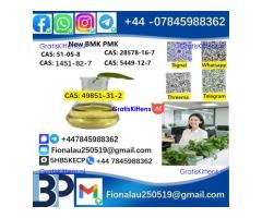 49851-31-2 2-bromo-1-phenyl-1-pentanone alpha-Bromovalerophenone in Stock