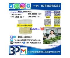 49851-31-2 2-bromo-1-phenyl-1-pentanone alpha-Bromovalerophenone in Stock