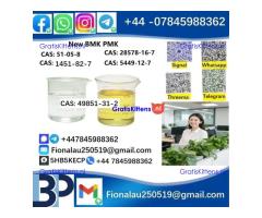 49851-31-2 2-bromo-1-phenyl-1-pentanone alpha-Bromovalerophenone in Stock