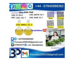 49851-31-2 2-BROMO-1-PHENYL-PENTAN-1-ONE CAS 49851-31-2