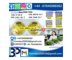 49851-31-2 2-BROMO-1-PHENYL-PENTAN-1-ONE CAS 49851-31-2