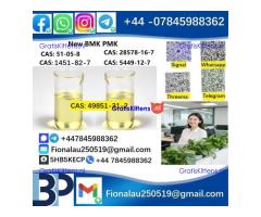49851-31-2 2-Bromo-1-phenyl-pentan-1-one/bvf