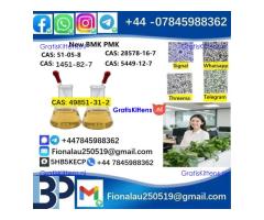 49851-31-2 2-Bromo-1-phenyl-pentan-1-one/bvf