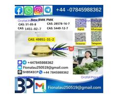49851-31-2 2-Bromo-1-phenyl-pentan-1-one/bvf