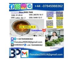 2025 Suppliers CAS 49851-31-2 2-Bromovalerophenone Hot Quality Liquid