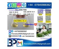 2025 Suppliers CAS 49851-31-2 2-Bromovalerophenone Hot Quality Liquid