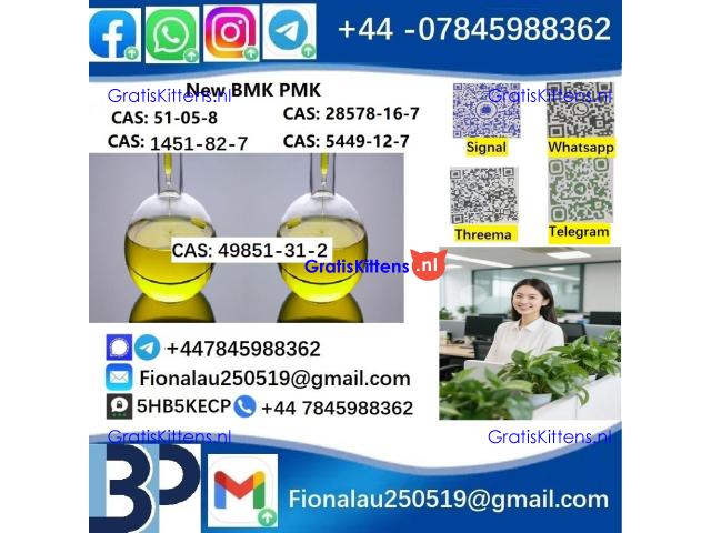 2025 Suppliers CAS 49851-31-2 2-Bromovalerophenone Hot Quality Liquid